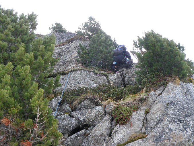 Rognier (16).jpg - Et c'est reparti